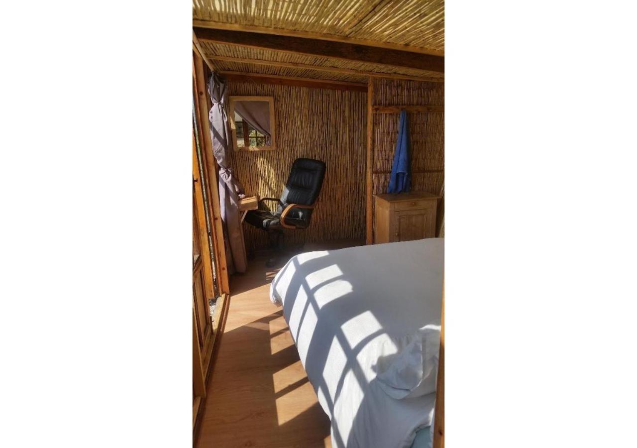 Treehouse ,Casa Arbol, With Spa Algarrobo Buitenkant foto