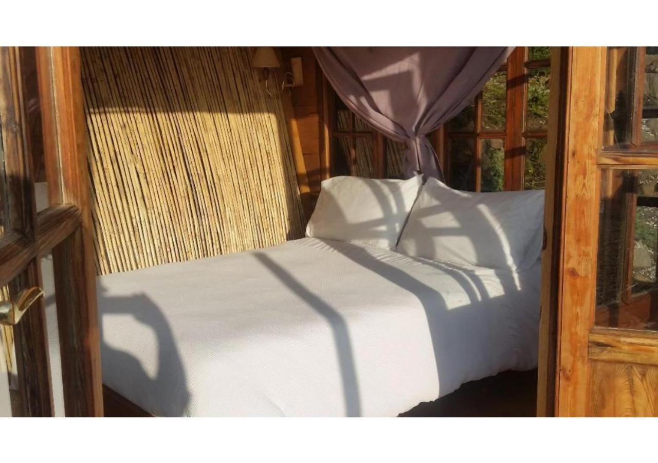 Treehouse ,Casa Arbol, With Spa Algarrobo Buitenkant foto