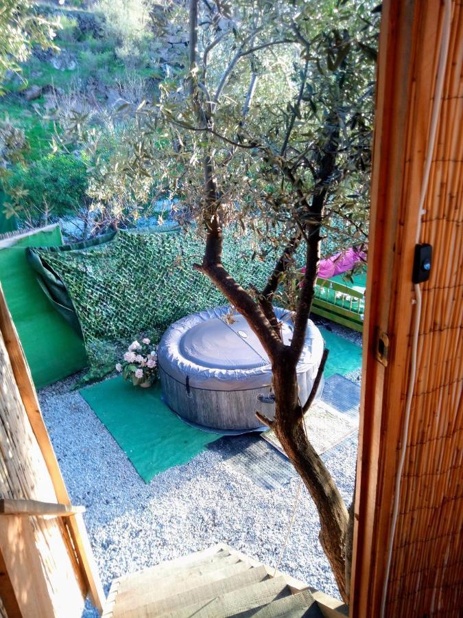 Treehouse ,Casa Arbol, With Spa Algarrobo Buitenkant foto